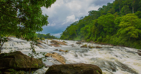 Resort Near Athirappilly Waterfall